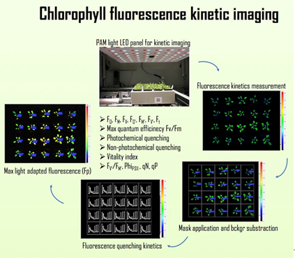 ��ҳ| ����֮��hy590���¹ٷ���վ