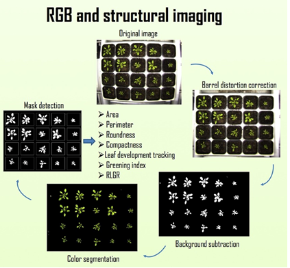 ��ҳ| ����֮��hy590���¹ٷ���վ