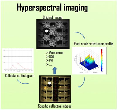 ��ҳ| ����֮��hy590���¹ٷ���վ