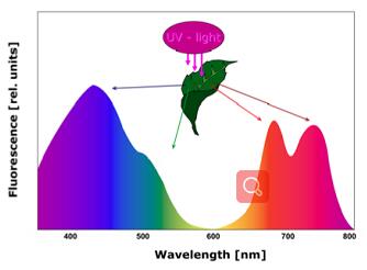 ��ҳ| ����֮��hy590���¹ٷ���վ