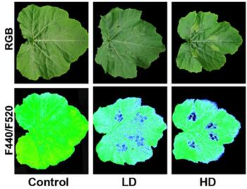 ��ҳ| ����֮��hy590���¹ٷ���վ