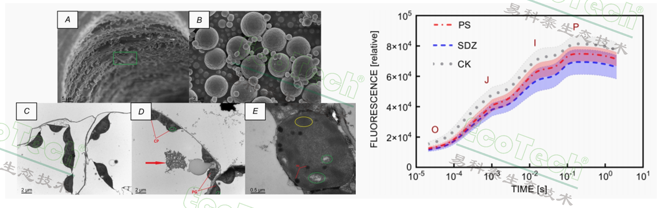 ��ҳ| ����֮��hy590���¹ٷ���վ