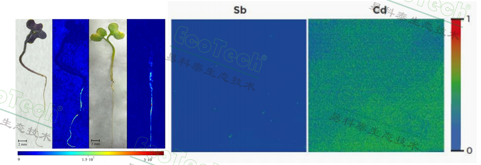 ��ҳ| ����֮��hy590���¹ٷ���վ