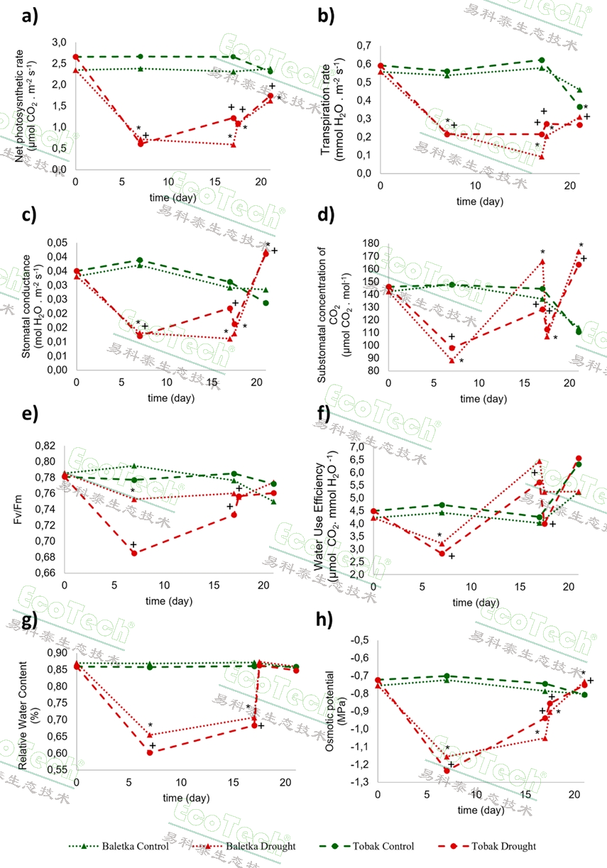 ��ҳ| ����֮��hy590���¹ٷ���վ