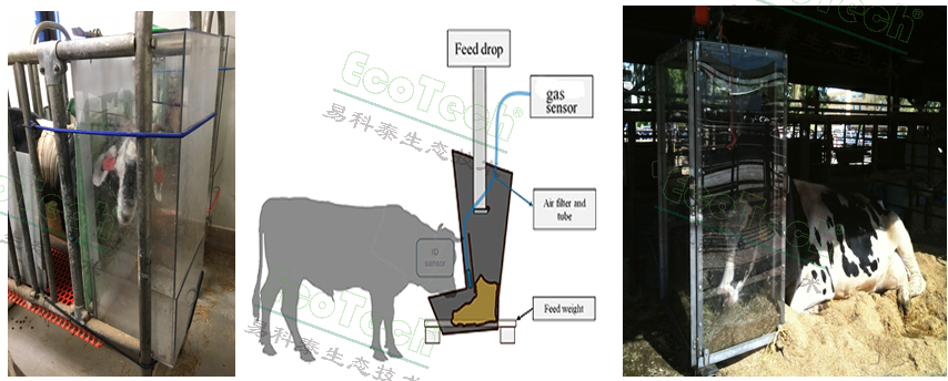Ê×Ò³| º£ÑóÖ®Éñhy590×îйٷ½ÍøÕ¾
