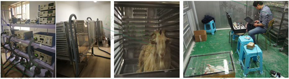 Ê×Ò³| º£ÑóÖ®Éñhy590×îйٷ½ÍøÕ¾