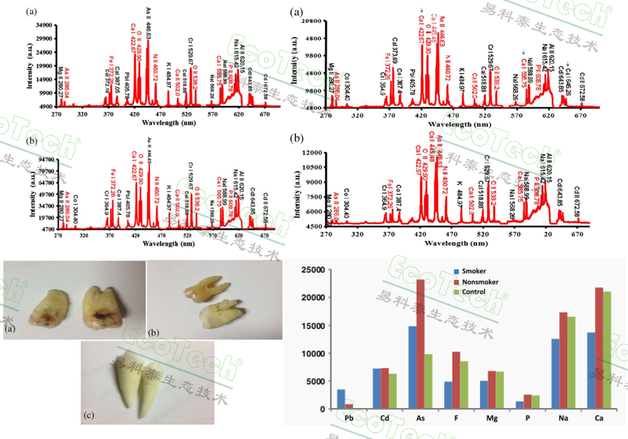 ��ҳ| ����֮��hy590���¹ٷ���վ