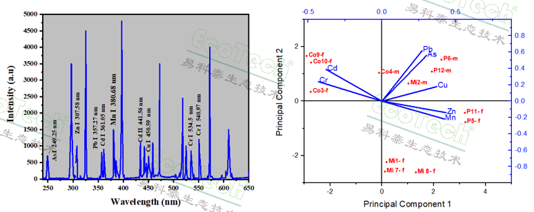 ��ҳ| ����֮��hy590���¹ٷ���վ