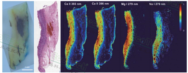 ��ҳ| ����֮��hy590���¹ٷ���վ