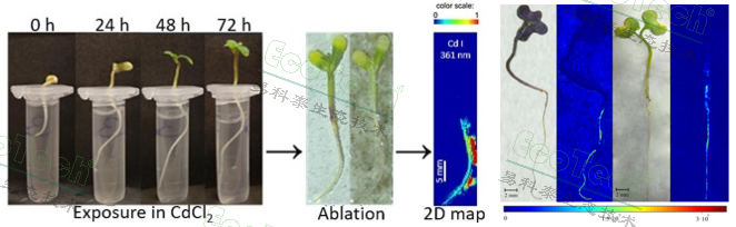 ��ҳ| ����֮��hy590���¹ٷ���վ