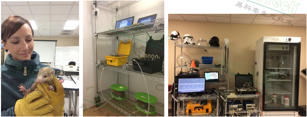 ��ҳ| ����֮��hy590���¹ٷ���վ