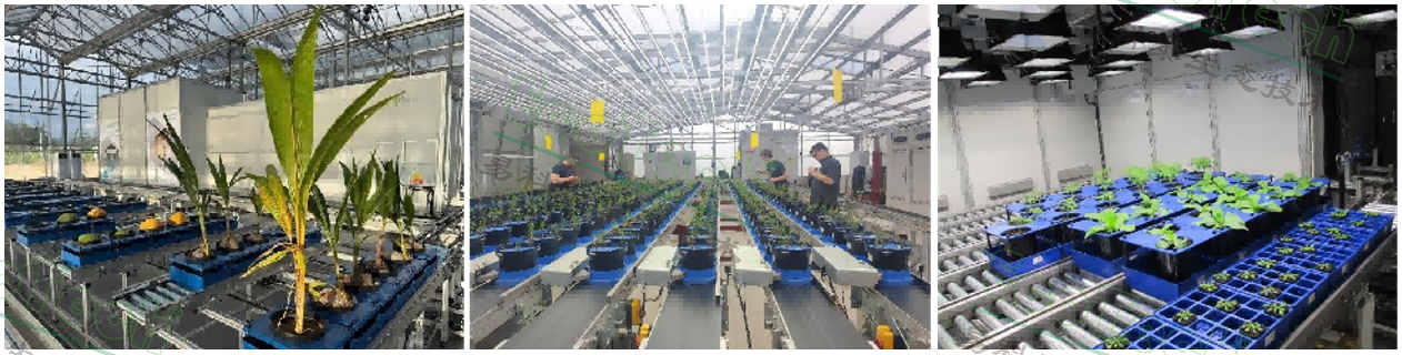 ��ҳ| ����֮��hy590���¹ٷ���վ