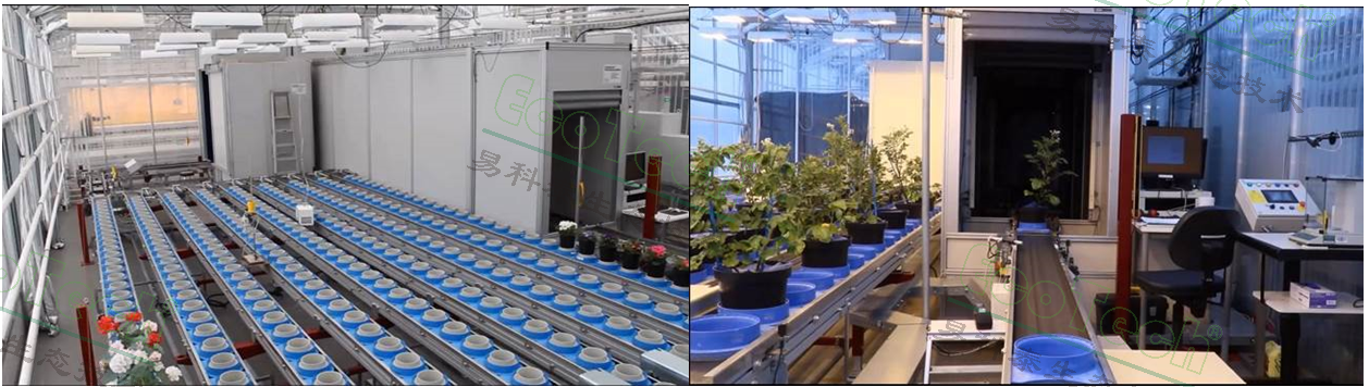 ��ҳ| ����֮��hy590���¹ٷ���վ