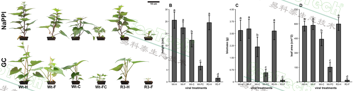 ��ҳ| ����֮��hy590���¹ٷ���վ