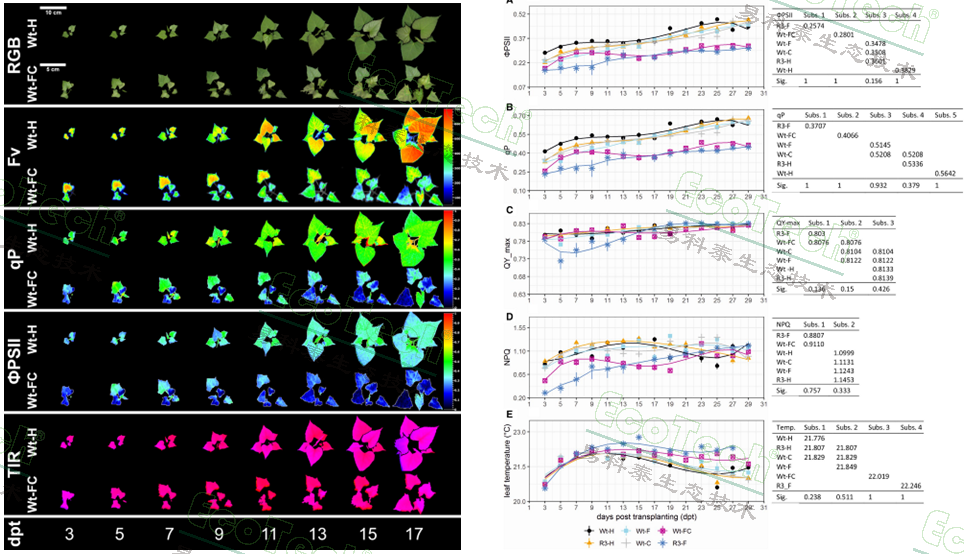��ҳ| ����֮��hy590���¹ٷ���վ