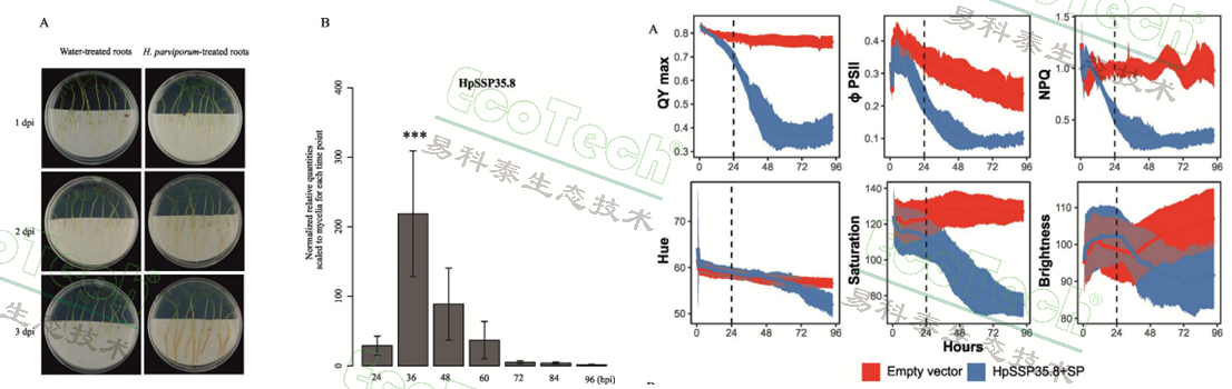 ��ҳ| ����֮��hy590���¹ٷ���վ