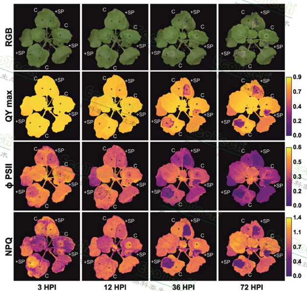 ��ҳ| ����֮��hy590���¹ٷ���վ