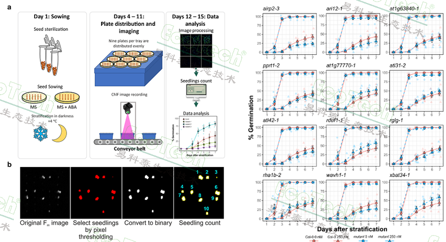��ҳ| ����֮��hy590���¹ٷ���վ