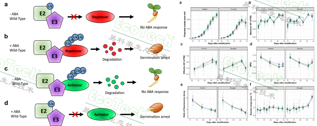 ��ҳ| ����֮��hy590���¹ٷ���վ