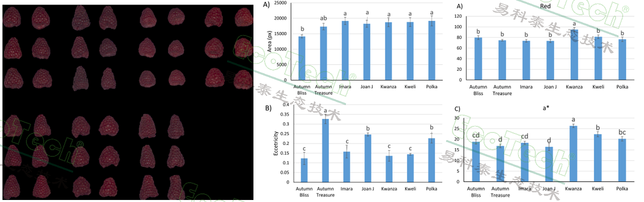 ��ҳ| ����֮��hy590���¹ٷ���վ