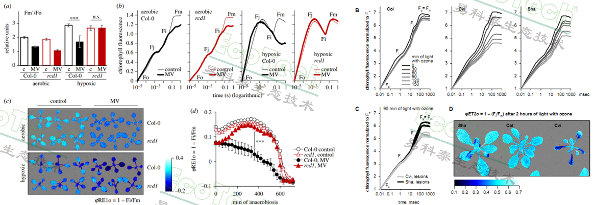 ��ҳ| ����֮��hy590���¹ٷ���վ