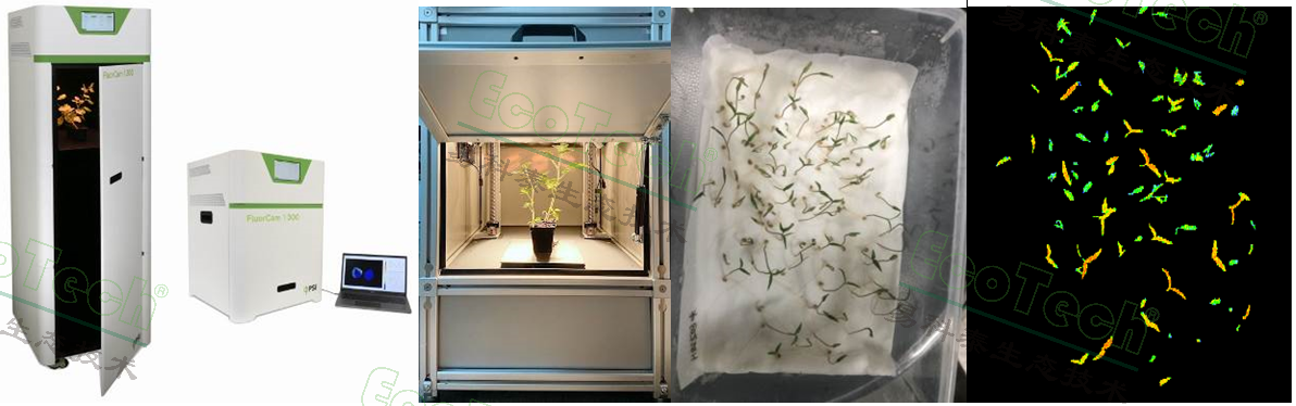 ��ҳ| ����֮��hy590���¹ٷ���վ