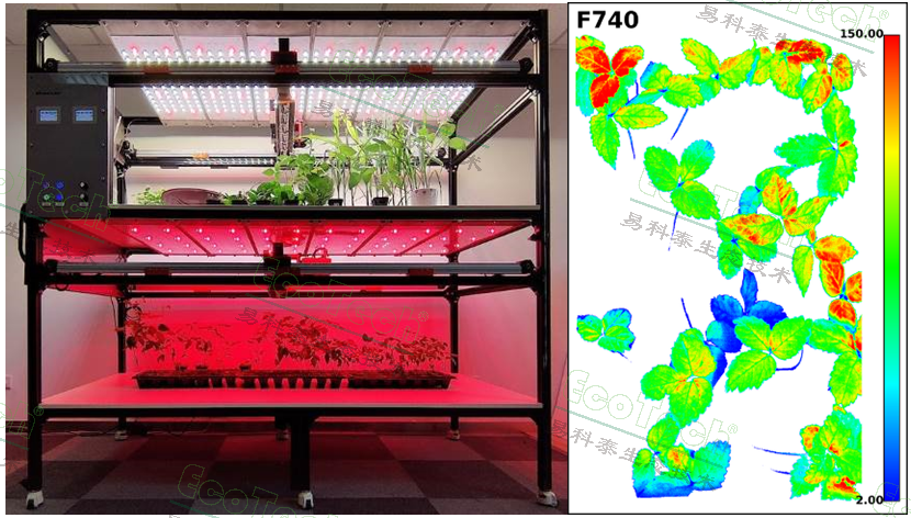 ��ҳ| ����֮��hy590���¹ٷ���վ