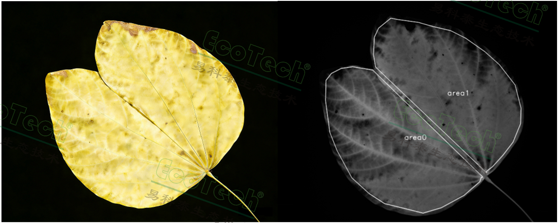 Ê×Ò³| º£ÑóÖ®Éñhy590×îйٷ½ÍøÕ¾