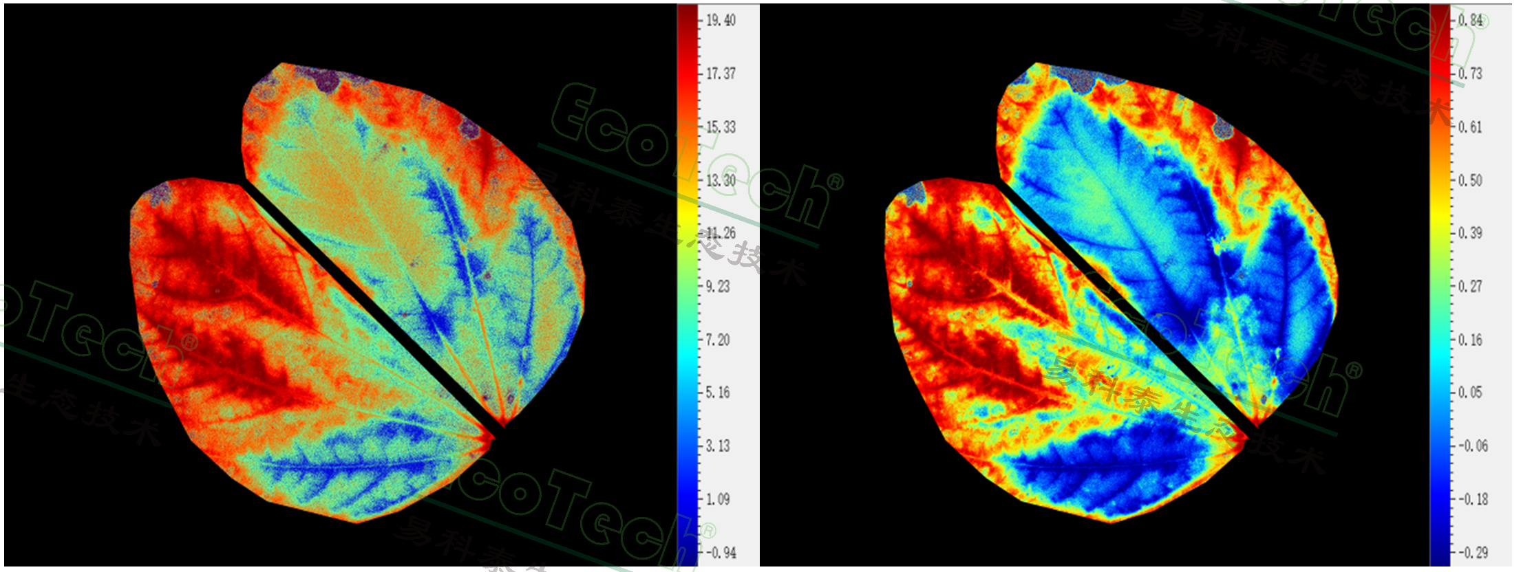 Ê×Ò³| º£ÑóÖ®Éñhy590×îйٷ½ÍøÕ¾