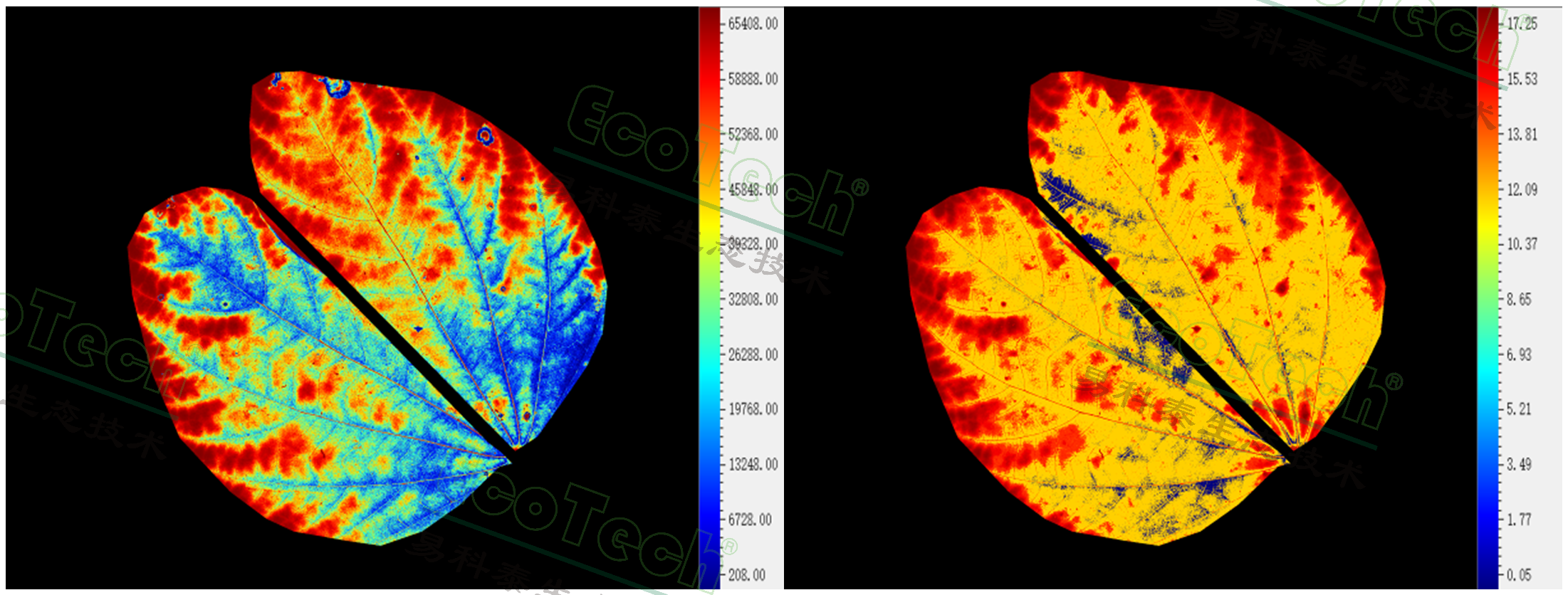 Ê×Ò³| º£ÑóÖ®Éñhy590×îйٷ½ÍøÕ¾