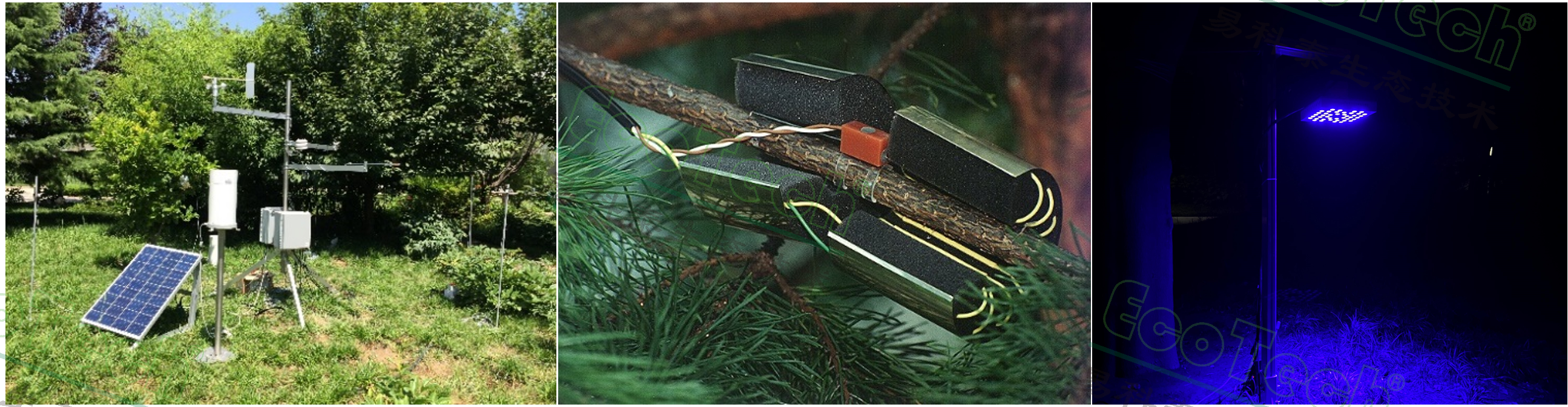 ��ҳ| ����֮��hy590���¹ٷ���վ