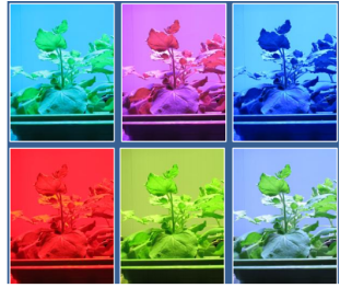 ��ҳ| ����֮��hy590���¹ٷ���վ