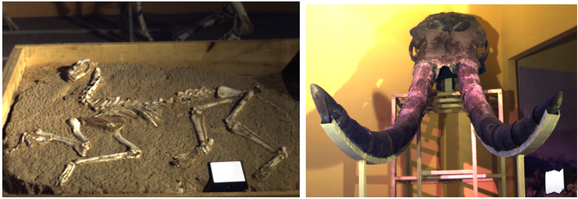 ��ҳ| ����֮��hy590���¹ٷ���վ