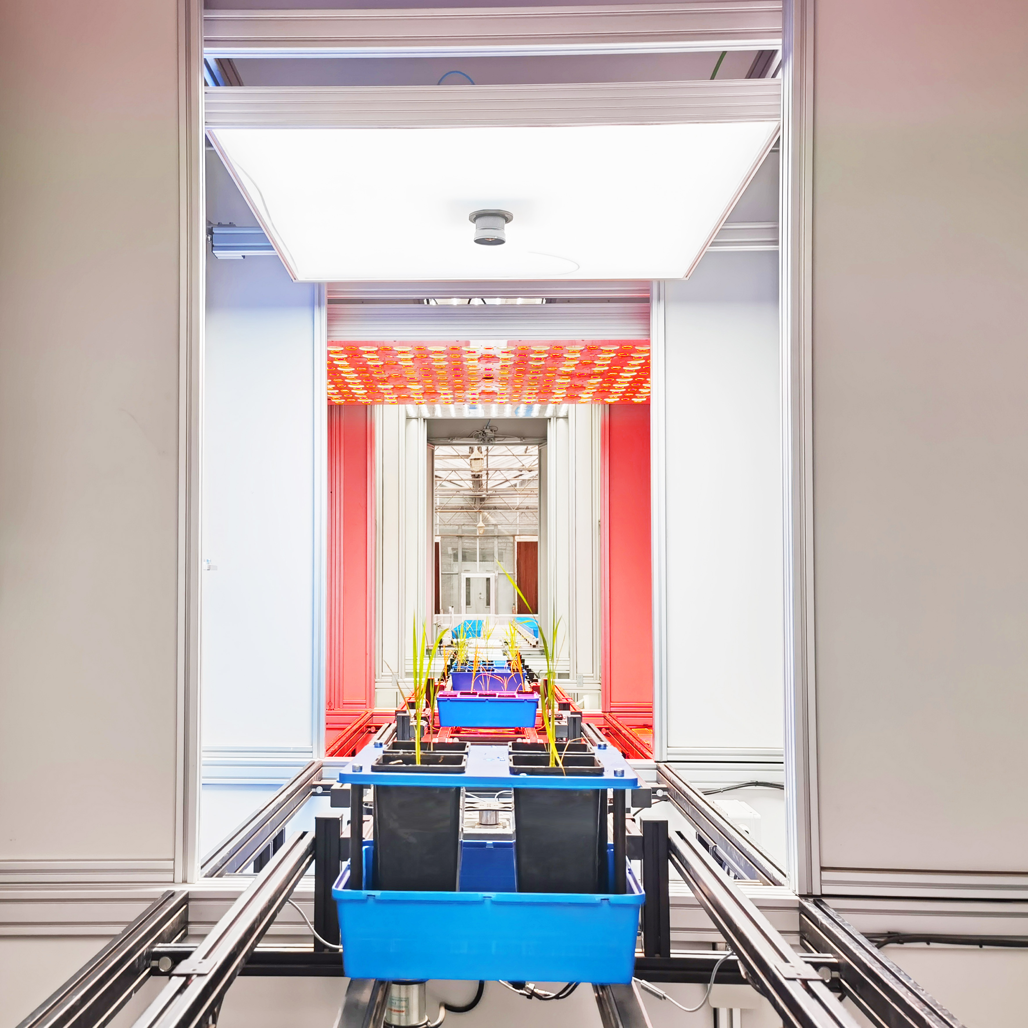 PlantScreen��ͨ��ֲ����ͳ�������ƽ̨�����ʹ��棩������