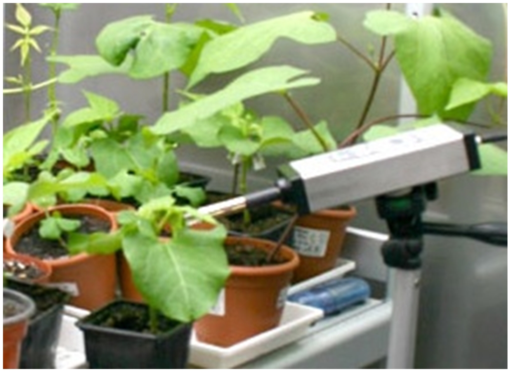 ET-LEDIFֲ��ڲ�Ҷ����ӫ��һ�����ϵͳ