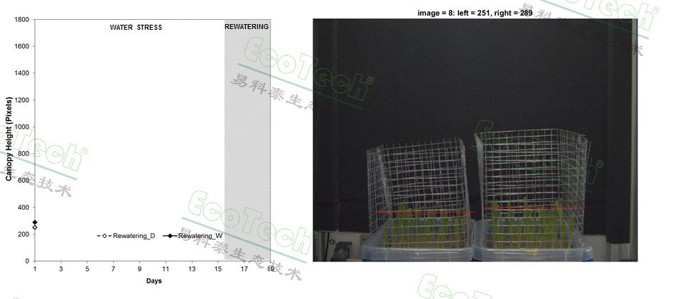 ��ҳ| ����֮��hy590���¹ٷ���վ