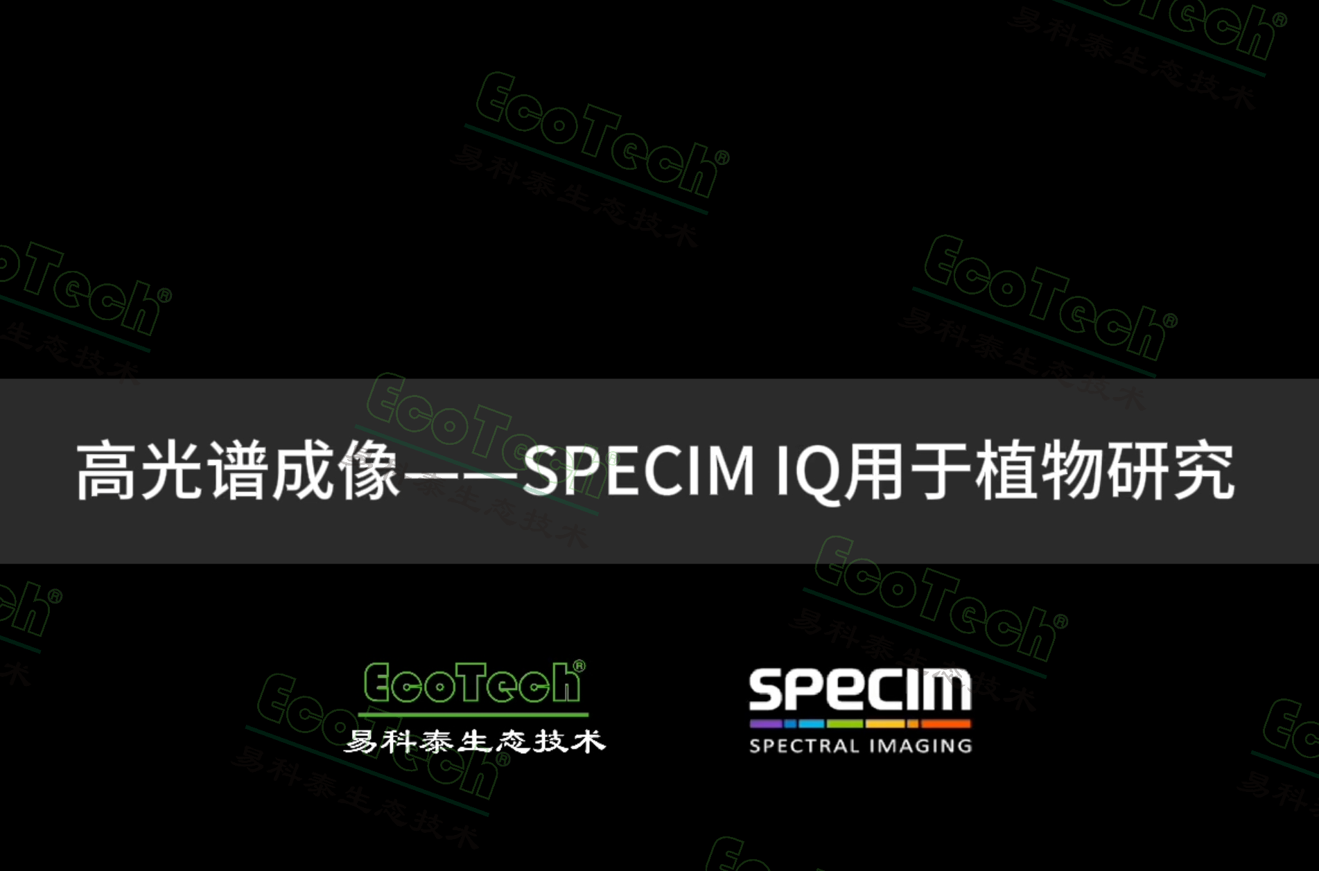 ��ҳ| ����֮��hy590���¹ٷ���վ