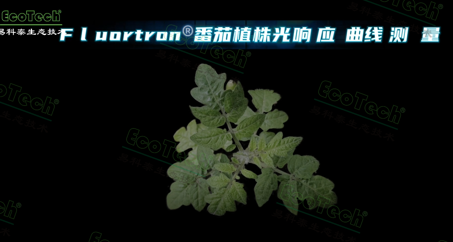 ��ҳ| ����֮��hy590���¹ٷ���վ