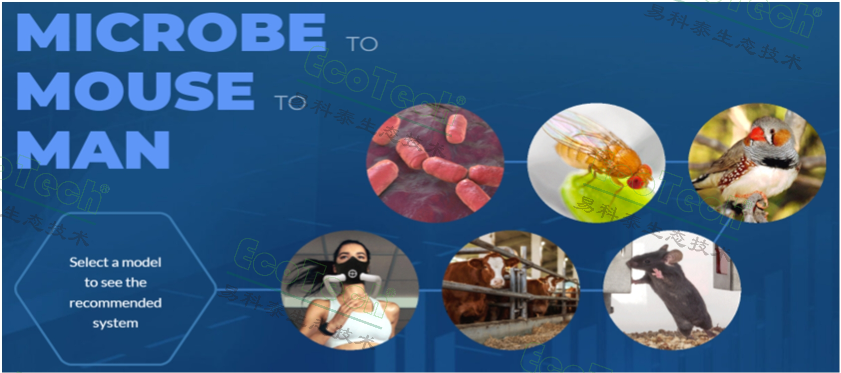 ��ҳ| ����֮��hy590���¹ٷ���վ