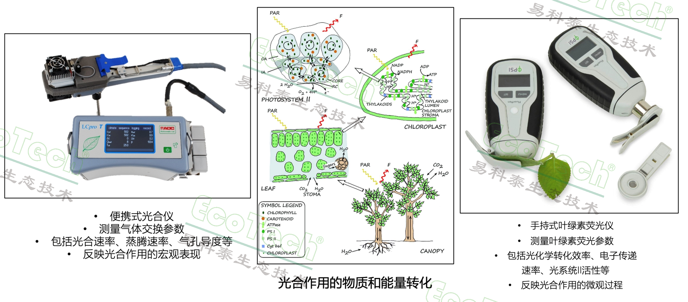 ��ҳ| ����֮��hy590���¹ٷ���վ