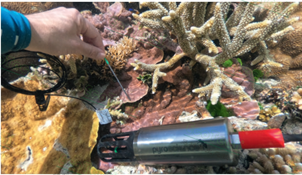 ��ҳ| ����֮��hy590���¹ٷ���վ