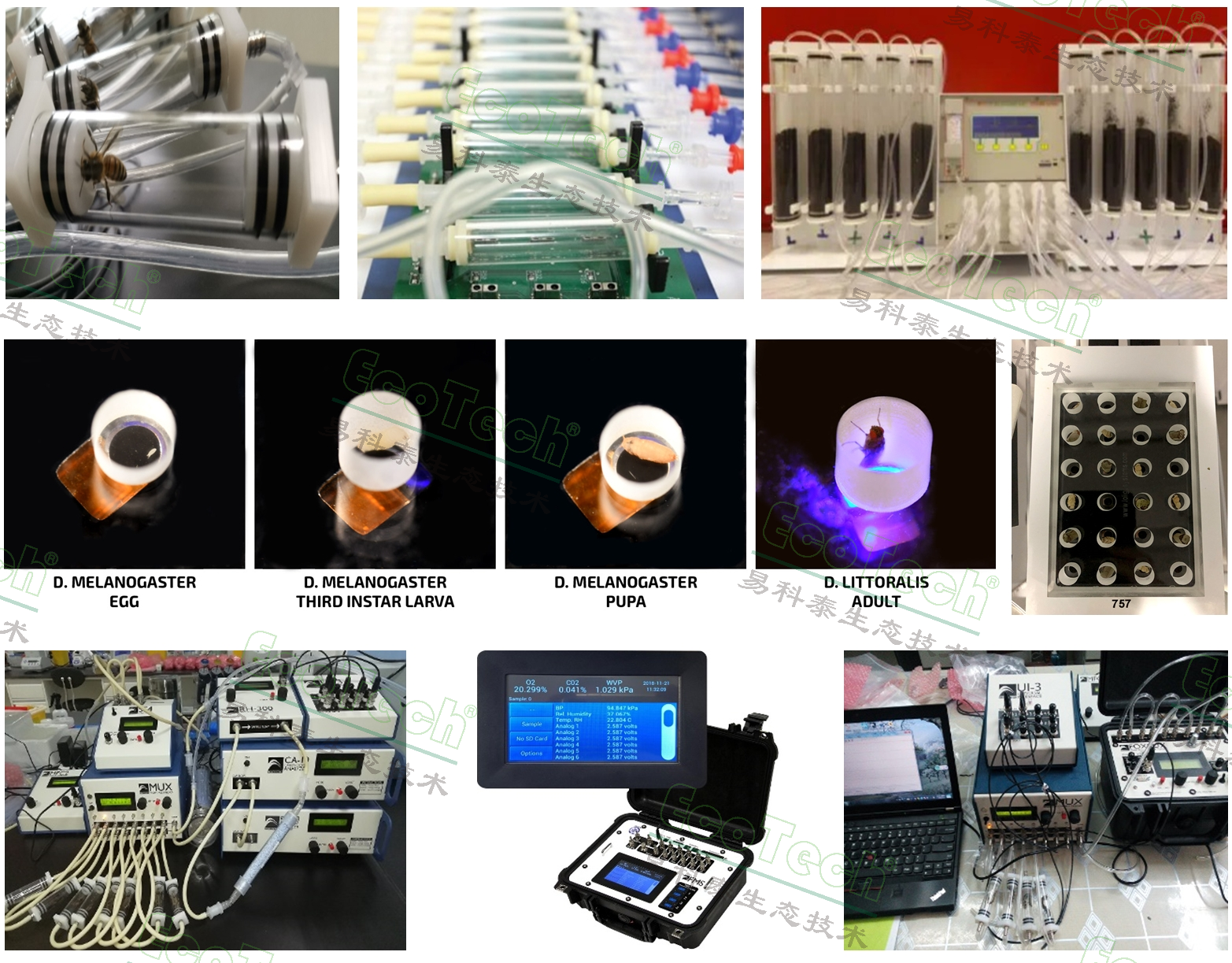 ��ҳ| ����֮��hy590���¹ٷ���վ