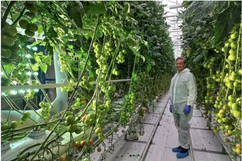 ��ҳ| ����֮��hy590���¹ٷ���վ