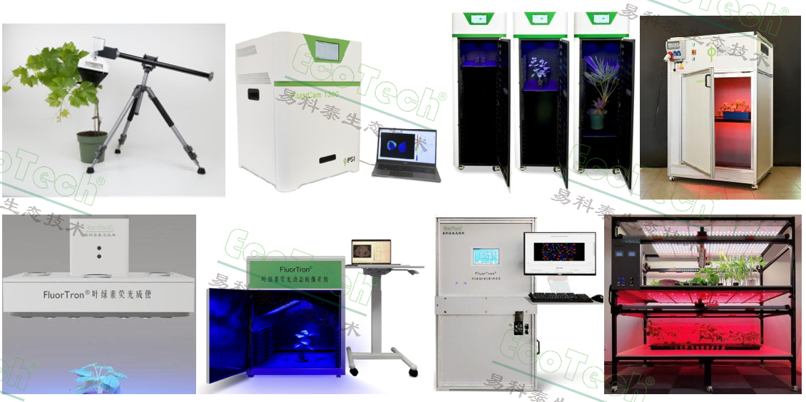 ��ҳ| ����֮��hy590���¹ٷ���վ