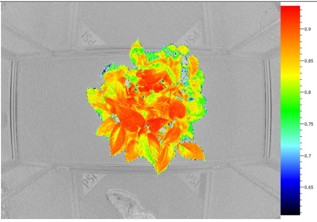 ΢ÐŽØÍ¼_20220610175522.png ΢ÐŽØÍ¼_20220610175522.png