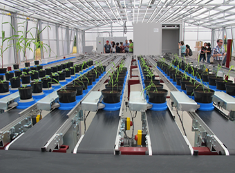 PlantScreen���Ͱ�ֲ����ͳ�������ϵͳ��һ��