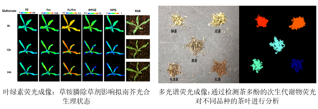 微信截图_20221123111639.png 微信截图_20221123111639.png