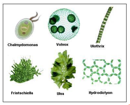 ��ҳ| ����֮��hy590���¹ٷ���վ