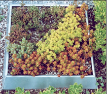 ��ҳ| ����֮��hy590���¹ٷ���վ