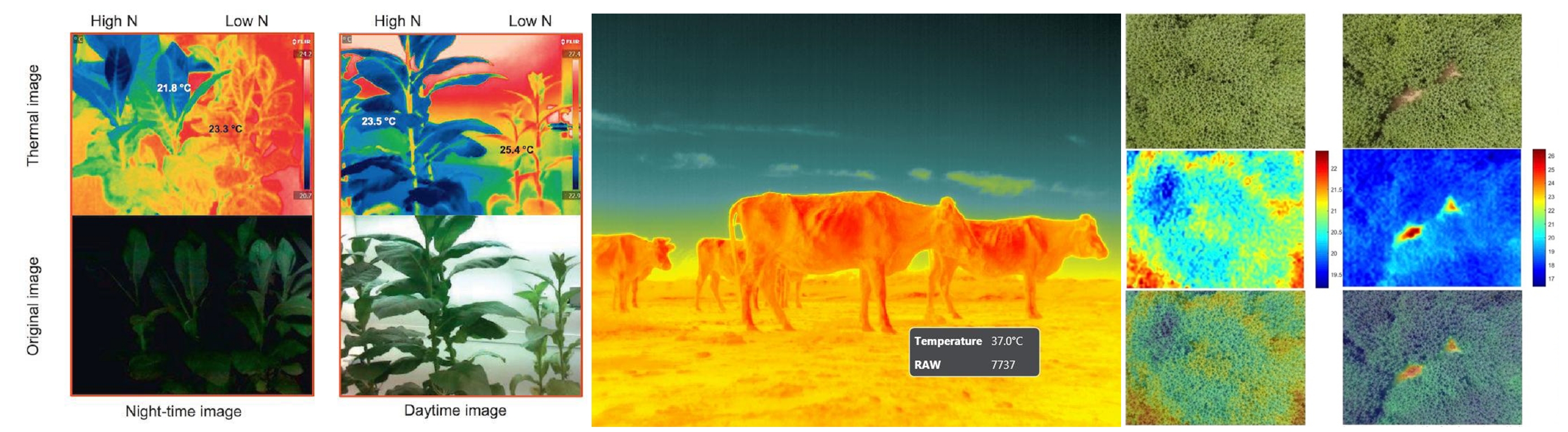 ��ҳ| ����֮��hy590���¹ٷ���վ